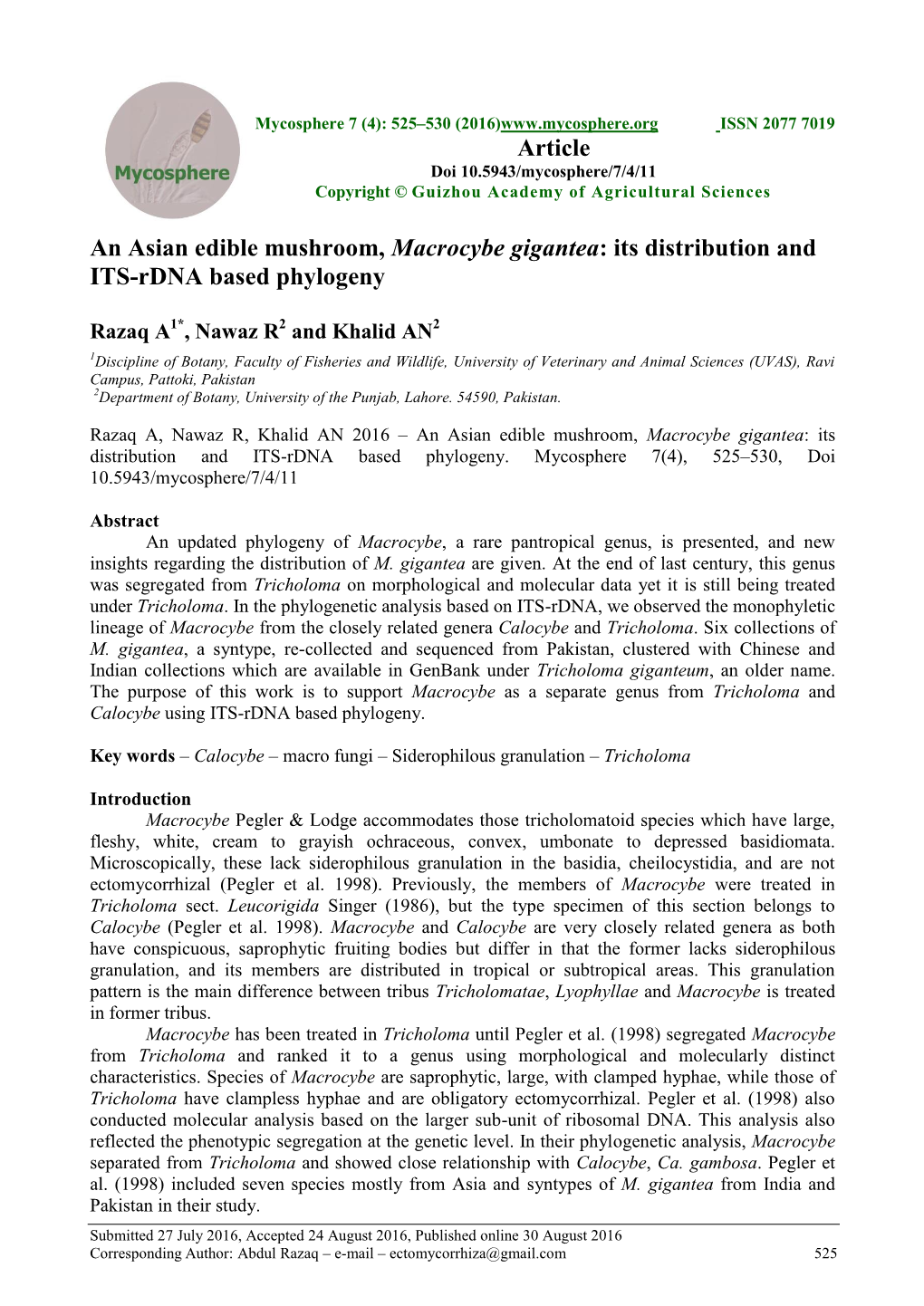 An Asian Edible Mushroom, Macrocybe Gigantea: Its Distribution and ITS-Rdna Based Phylogeny