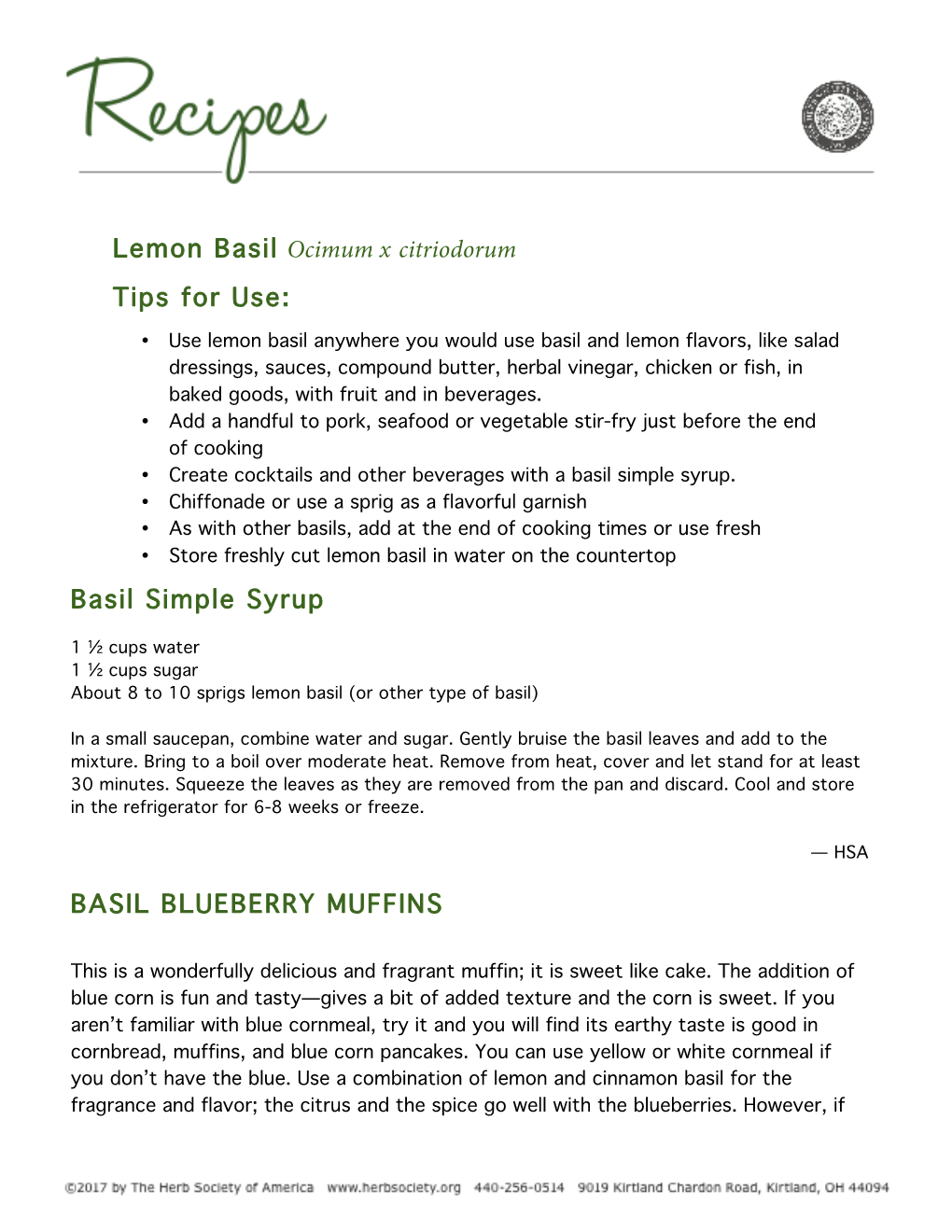 Lemon Basil Ocimum X Citriodorum Tips for Use