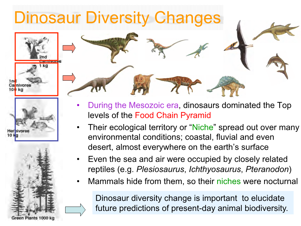 Dinosaur-Biodiversity-Reduc