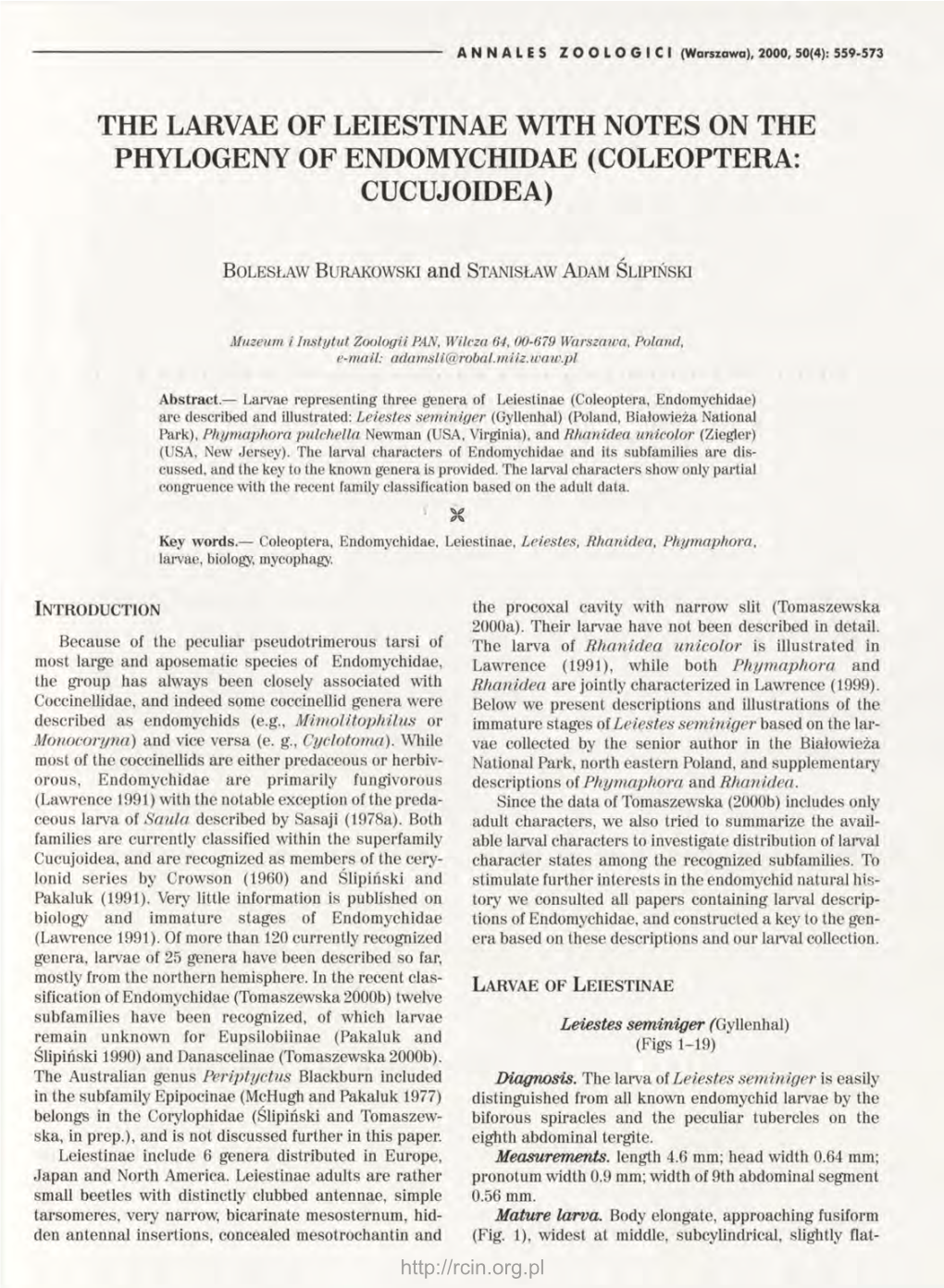 The Larvae of Leiestinae with Notes on the Phylogeny of Endomychidae (Coleoptera: Cucujoidea)