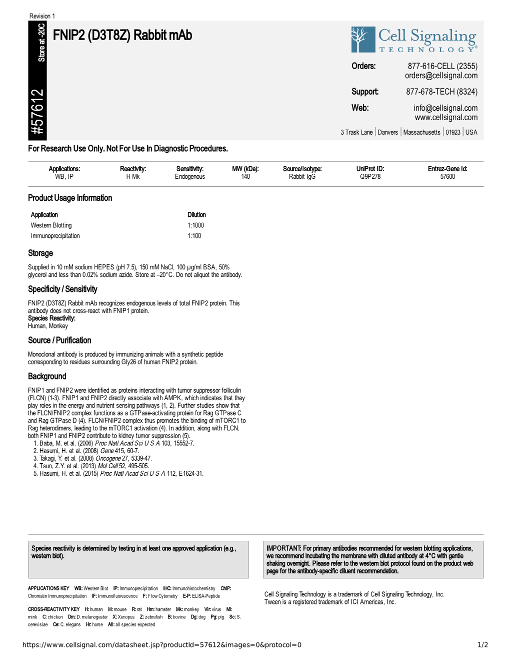 57612 FNIP2 (D3T8Z) Rabbit Mab