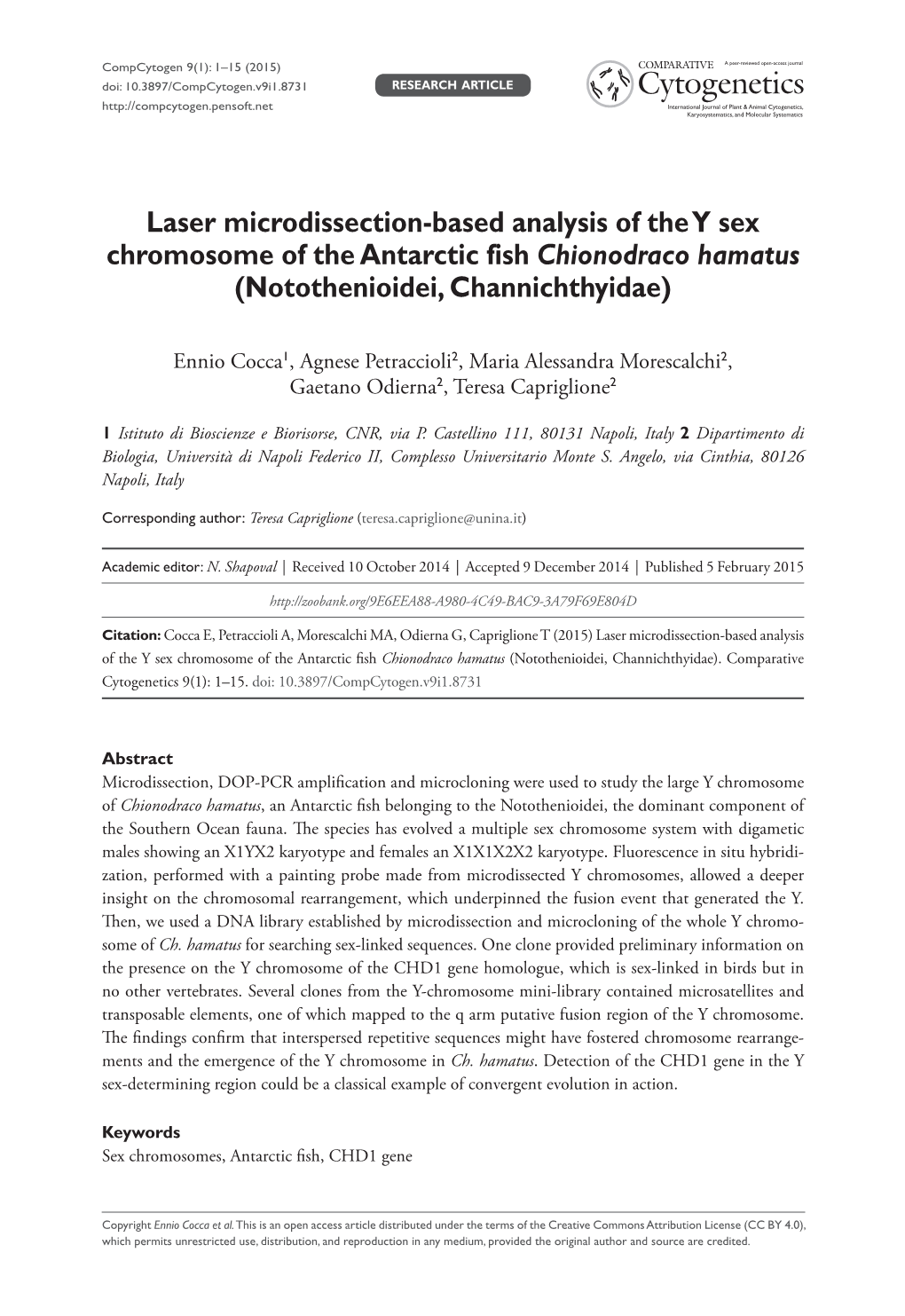 Laser Microdissection-Based Analysis of the Y Sex Chromosome of the Antarctic Fish Chionodraco Hamatus (Notothenioidei, Channichthyidae)