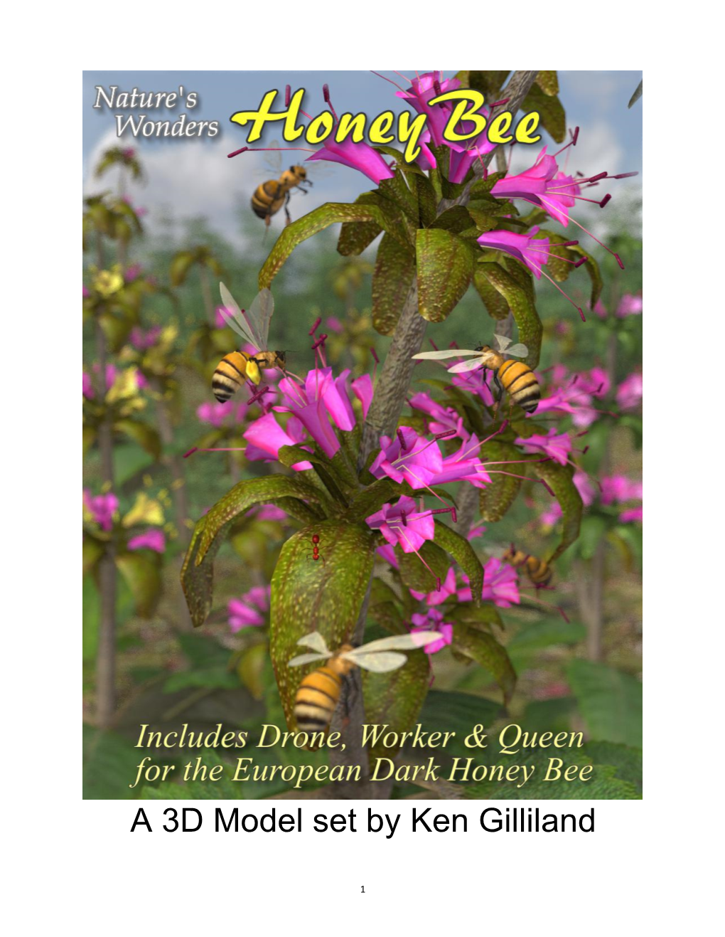 Western Honey Bee Apis Mellifera