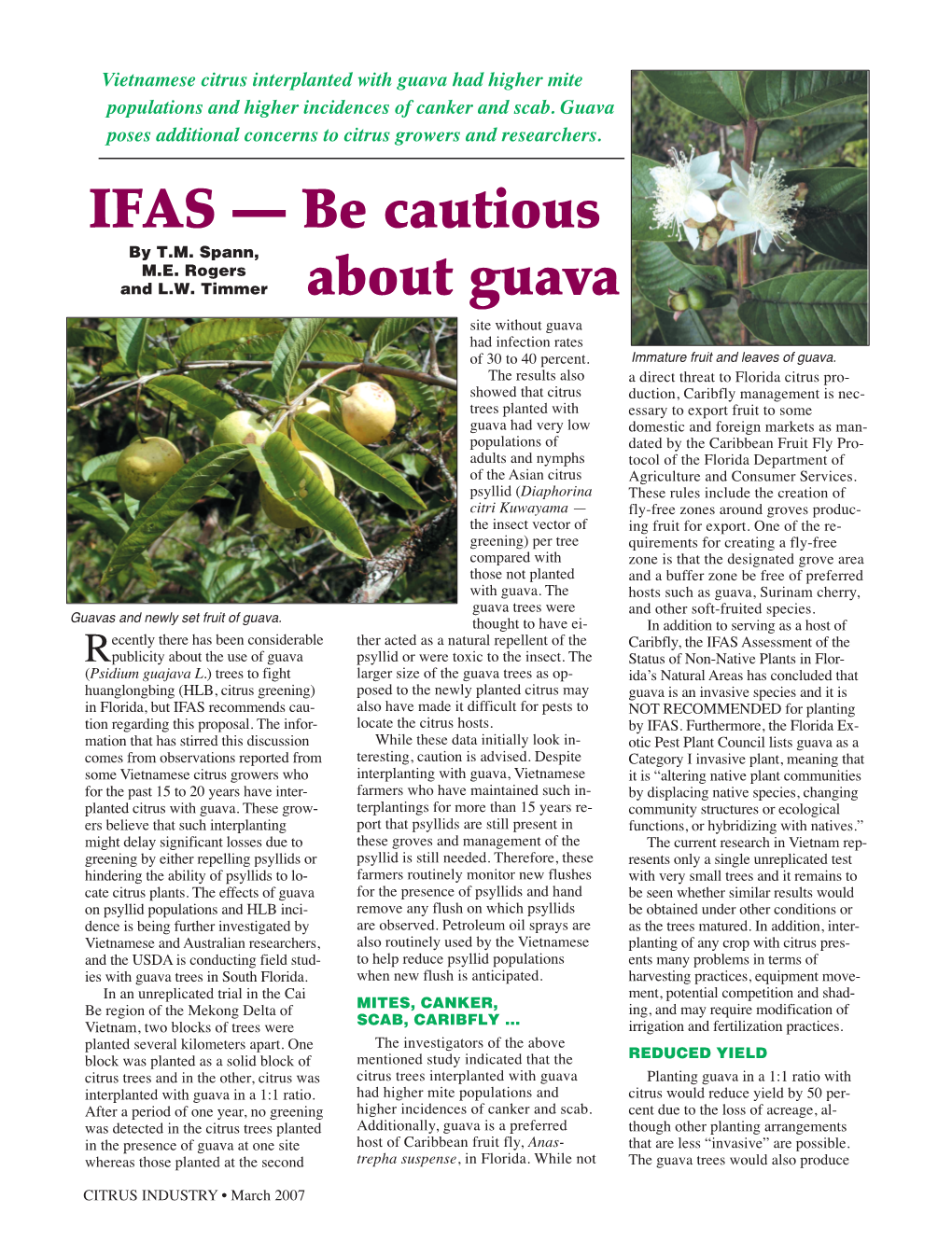 IFAS — Be Cautious About Guava