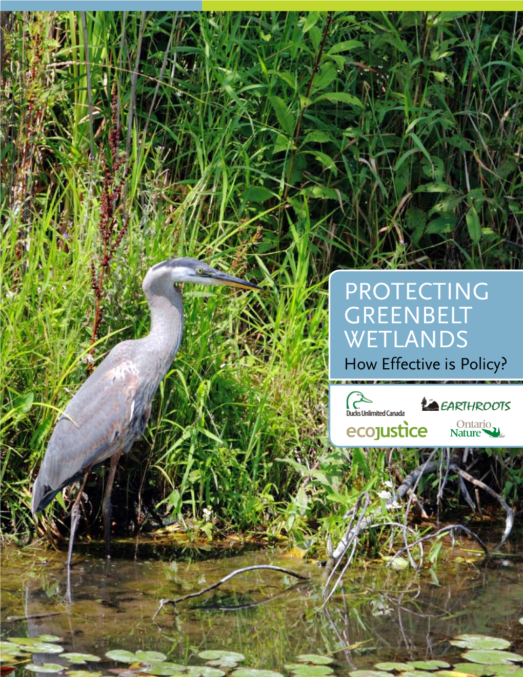 Protecting Greenbelt Wetlands How Effective Is Policy? Protecting Greenbelt Wetlands: How Effective Is Policy?