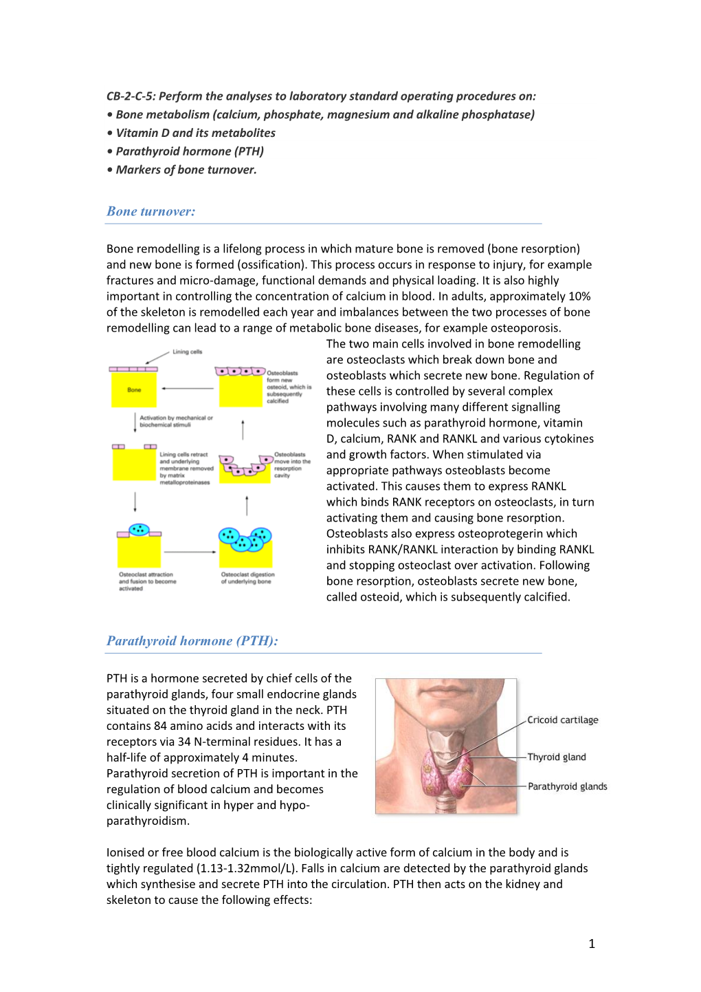 1 Bone Turnover: Parathyroid Hormone (PTH)