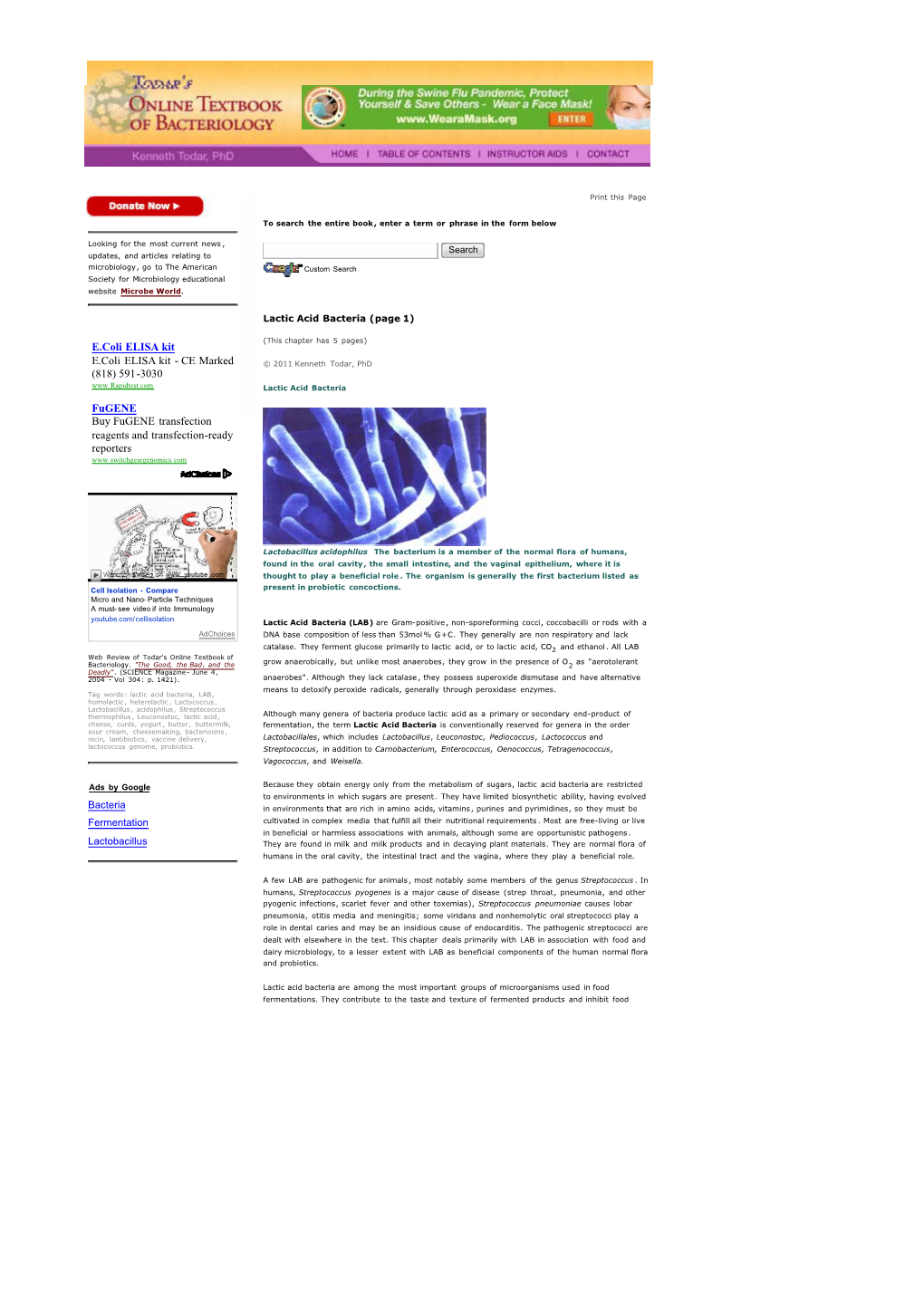 Lactic Acid Bacteria (Page 1)