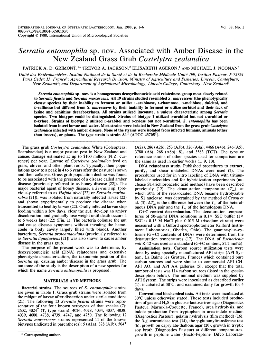 Serratia Entomophila Sp. Nov. Associated with New Zealand Grass Grub Costelytra Amber Disease in the Zealandica