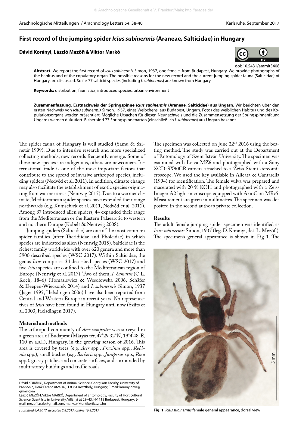 First Record of the Jumping Spider Icius Subinermis (Araneae, Salticidae) in Hungary