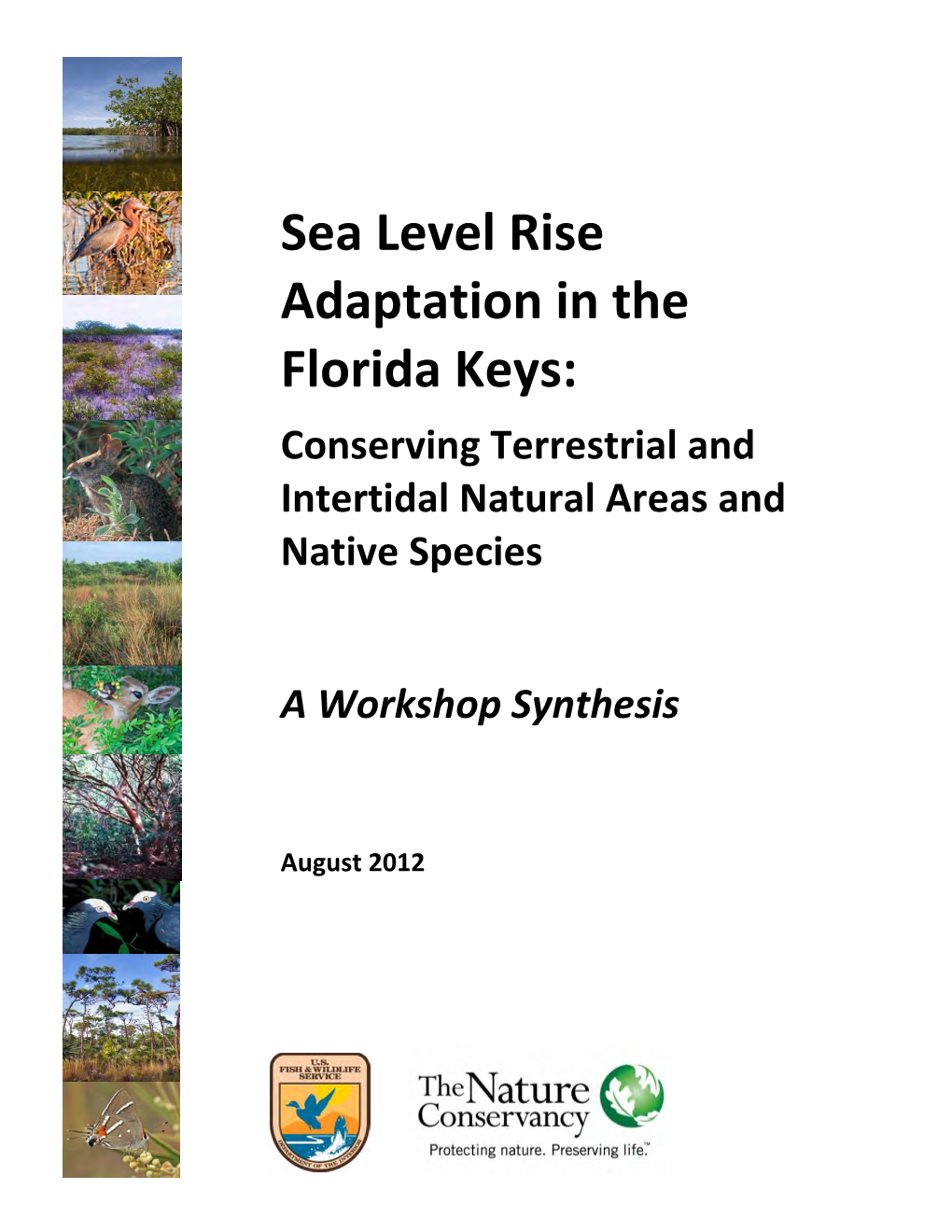 Sea Level Rise Adaptation in the Florida Keys: Conserving Terrestrial and Intertidal Natural Areas and Native Species