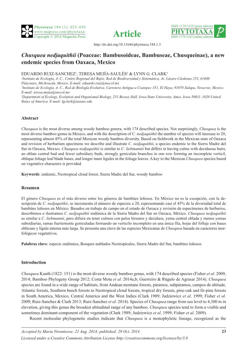 Chusquea Nedjaquithii (Poaceae: Bambusoideae, Bambuseae, Chusqueinae), a New Endemic Species from Oaxaca, Mexico