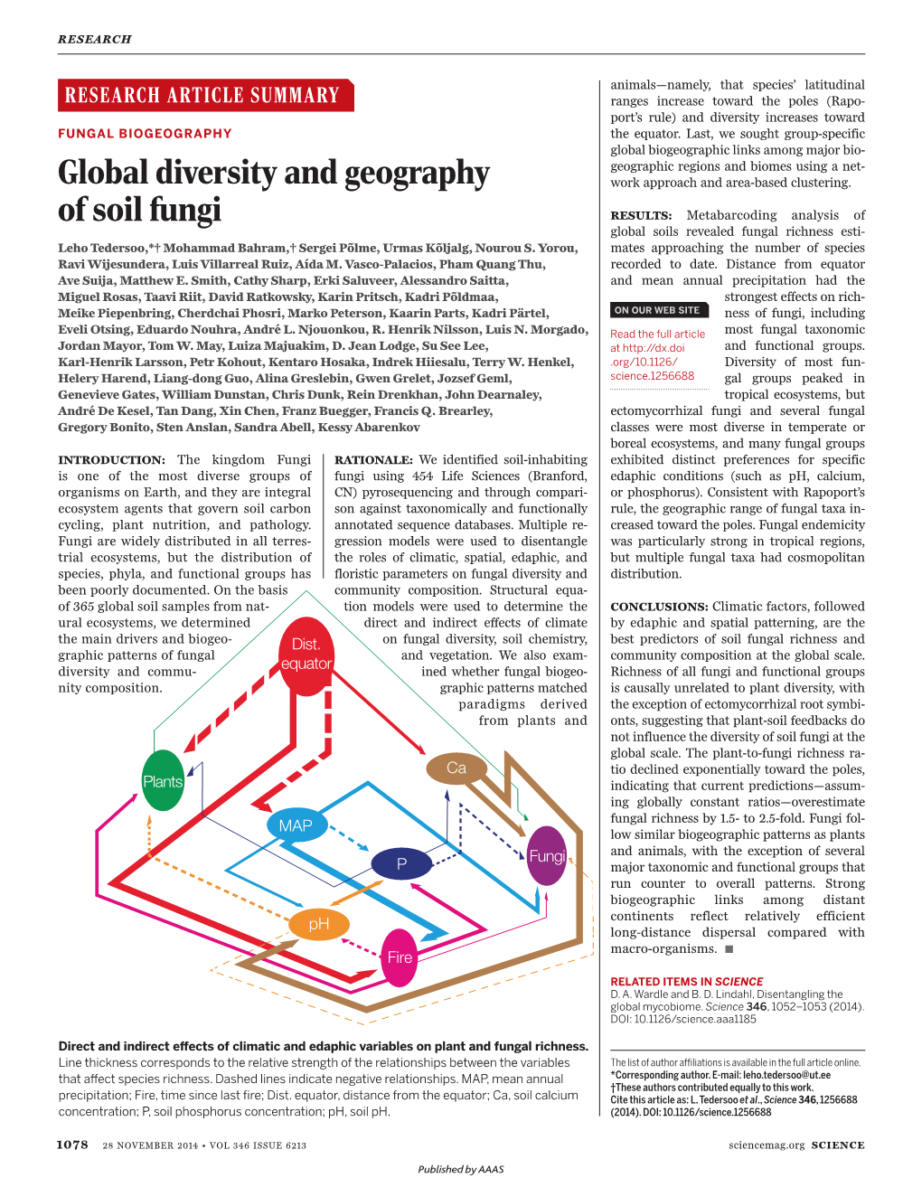 Global Diversity and Geography of Soil Fungi