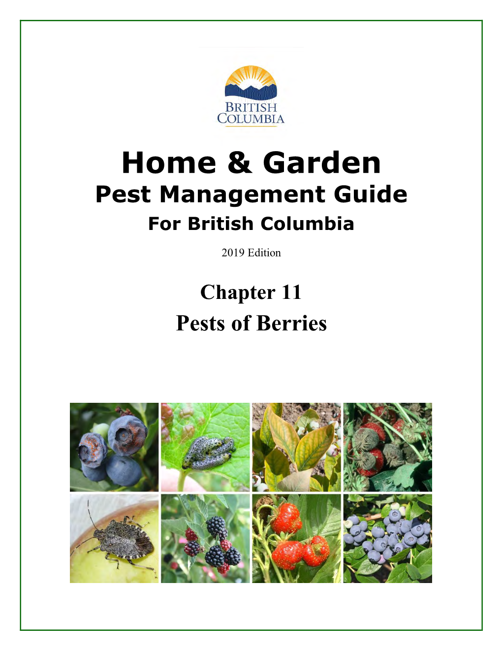 Pests of Berries