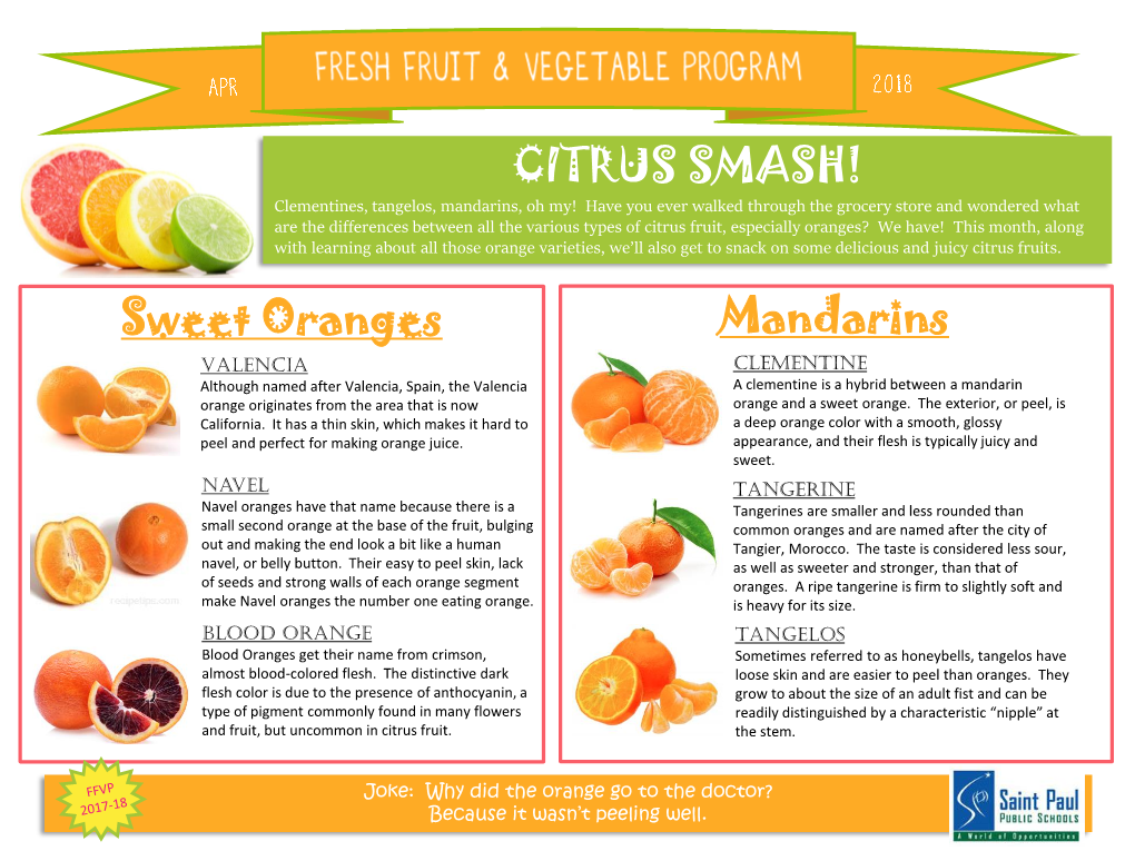 CITRUS SMASH! Sweet Oranges Mandarins