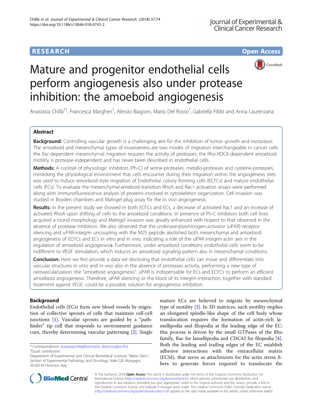 Mature and Progenitor Endothelial Cells Perform Angiogenesis Also