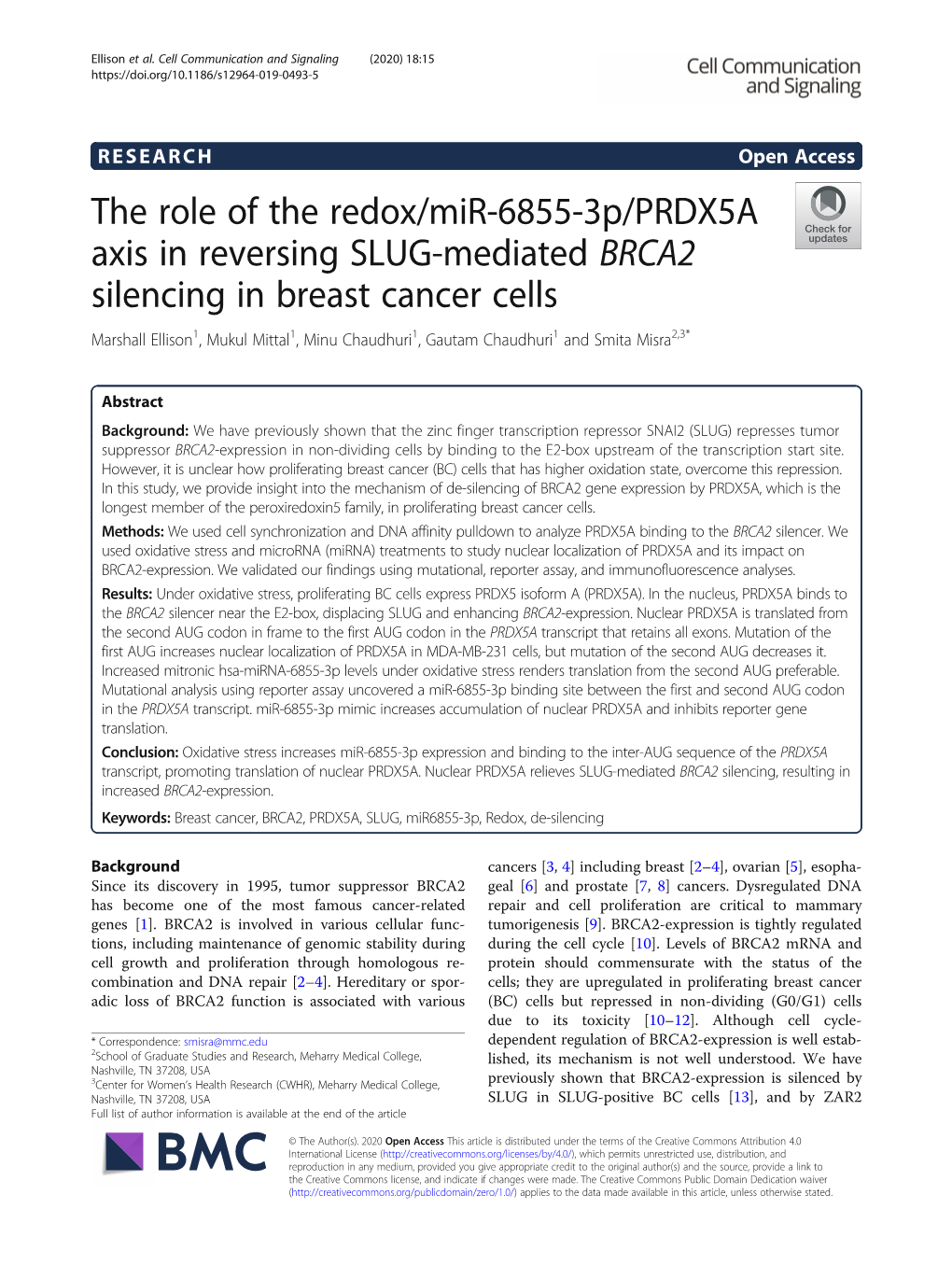 The Role of the Redox/Mir-6855-3P/PRDX5A Axis in Reversing SLUG-Mediated BRCA2 Silencing in Breast Cancer Cells