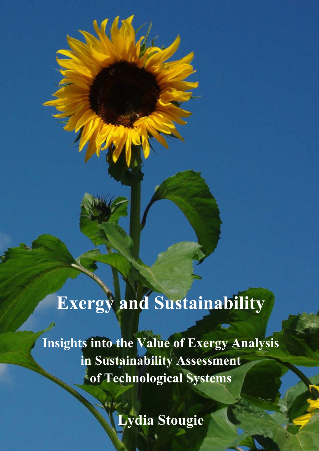 Exergy and Sustainability