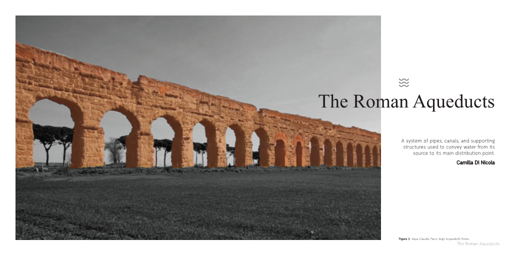 The Roman Aqueducts by Camilla Di Nicola