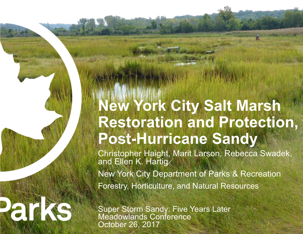 New York City Salt Marsh Restoration and Protection, Post-Hurricane Sandy