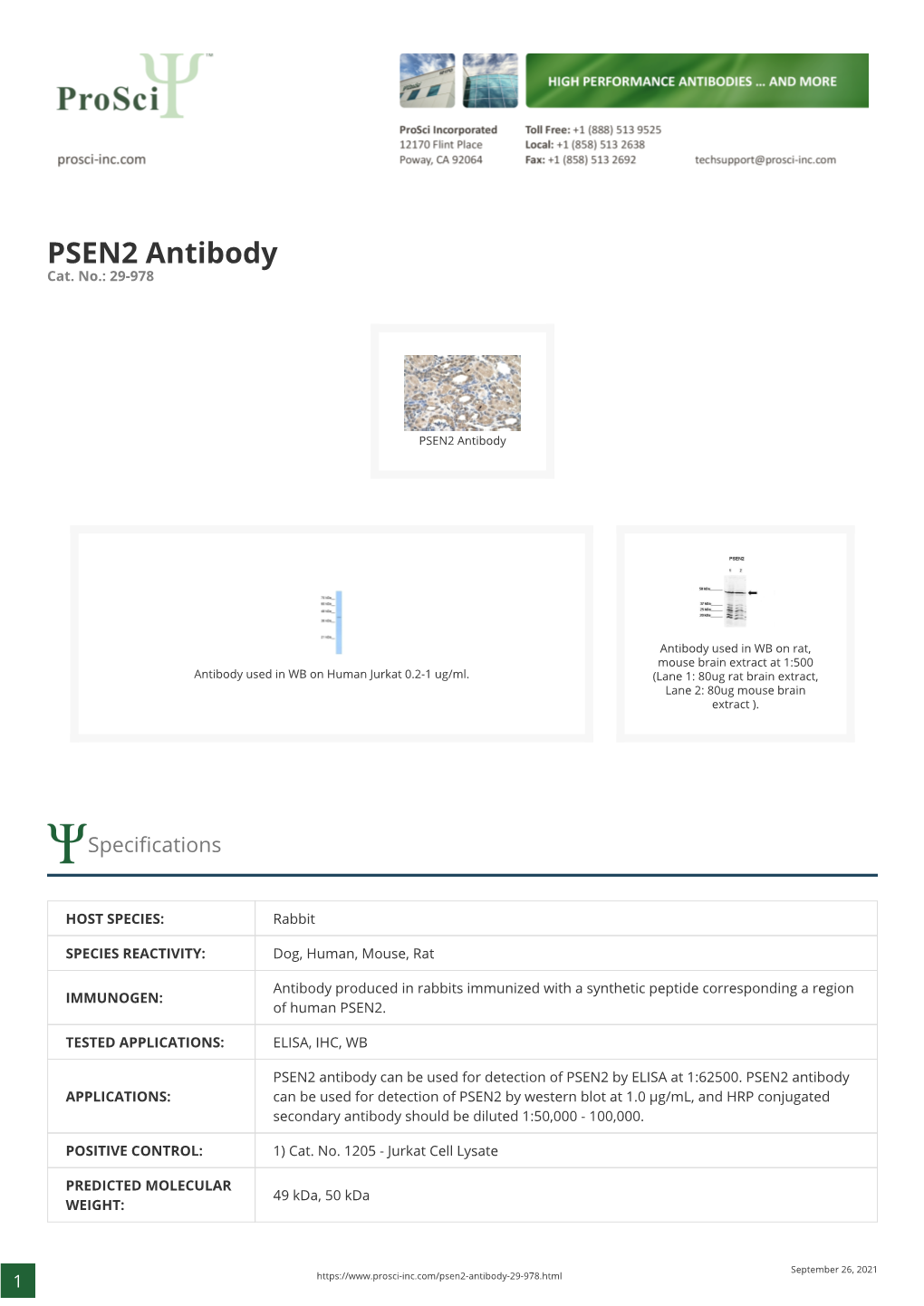 PSEN2 Antibody Cat