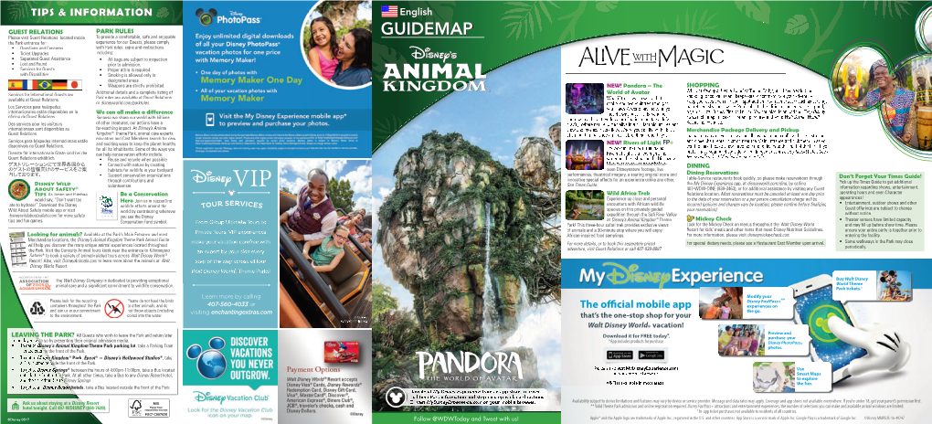 Disney's Animal Kingdom Theme Park