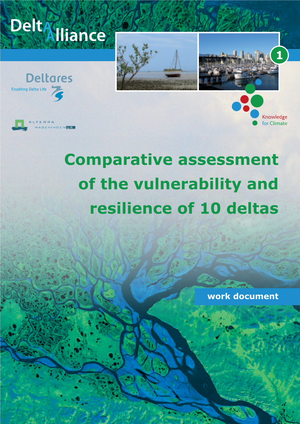 Comparative Assessment of the Vulnerability and Resilience of 10 Deltas | Synthesis Report Lead Authors