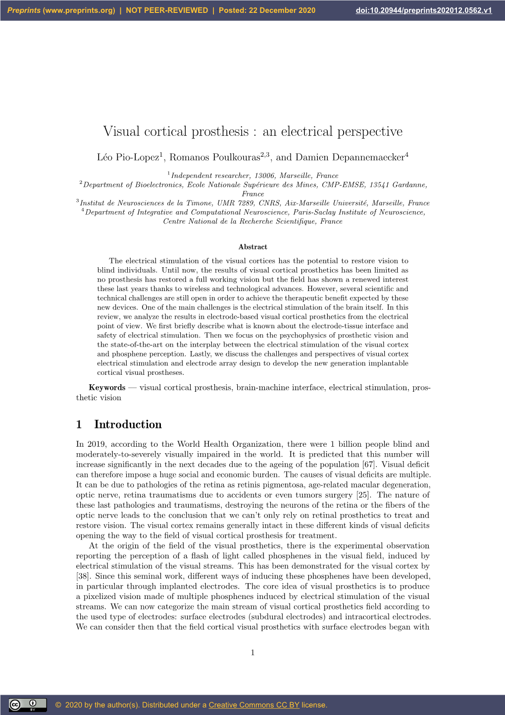 Visual Cortical Prosthesis : an Electrical Perspective