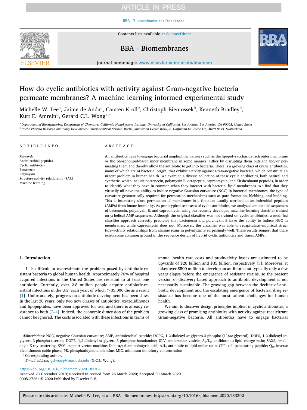 How Do Cyclic Antibiotics with Activity Against Gram-Negative Bacteria Permeate Membranes? a Machine Learning Informed Experimental Study Michelle W