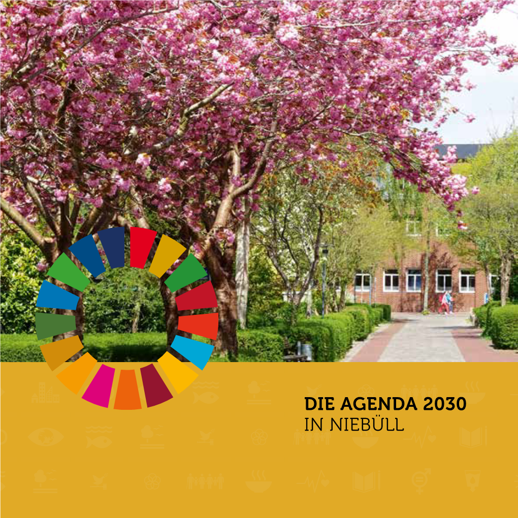 DIE AGENDA 2030 in NIEBÜLL Auf Dem Weg Zu Einer Global Nachhaltigen Kommune Inhaltsverzeichnis