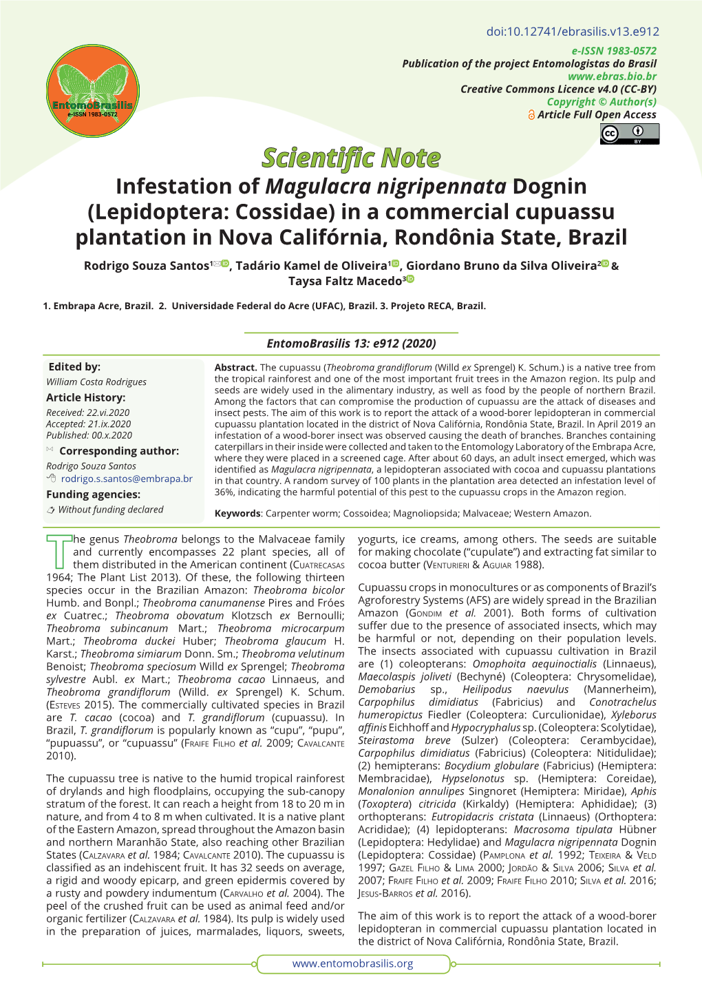 Infestation of Magulacra Nigripennata Dognin (Lepidoptera: Cossidae) in a Commercial Cupuassu Plantation in Nova Califórnia, Rondônia State, Brazil