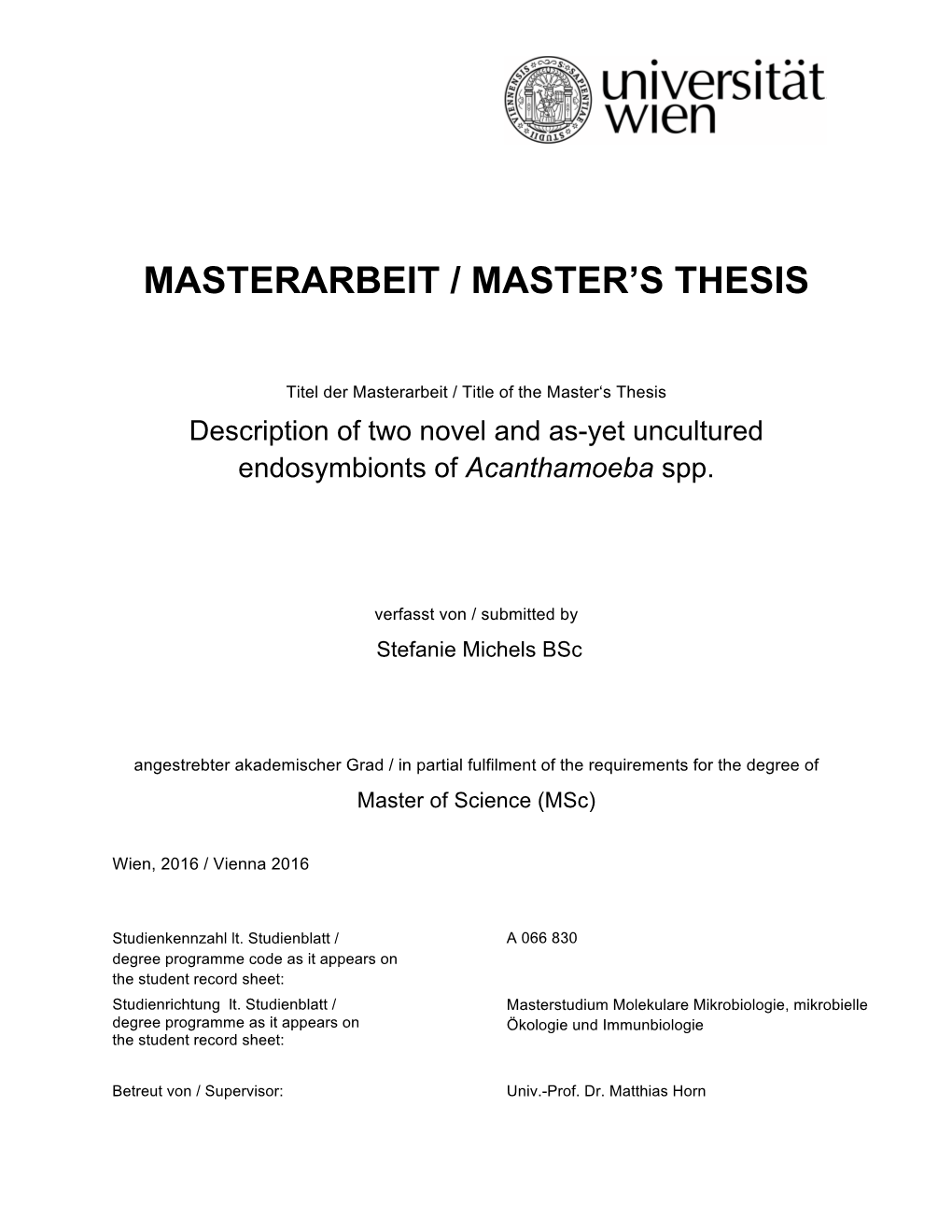 Masterarbeit / Master's Thesis