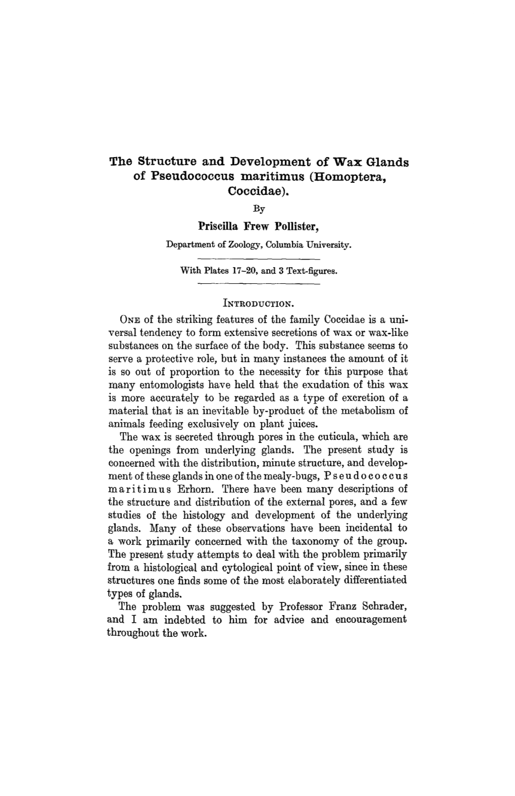 The Structure and Development of Wax Glands of Pseudococcus Maritimus (Homoptera, Coccidae)