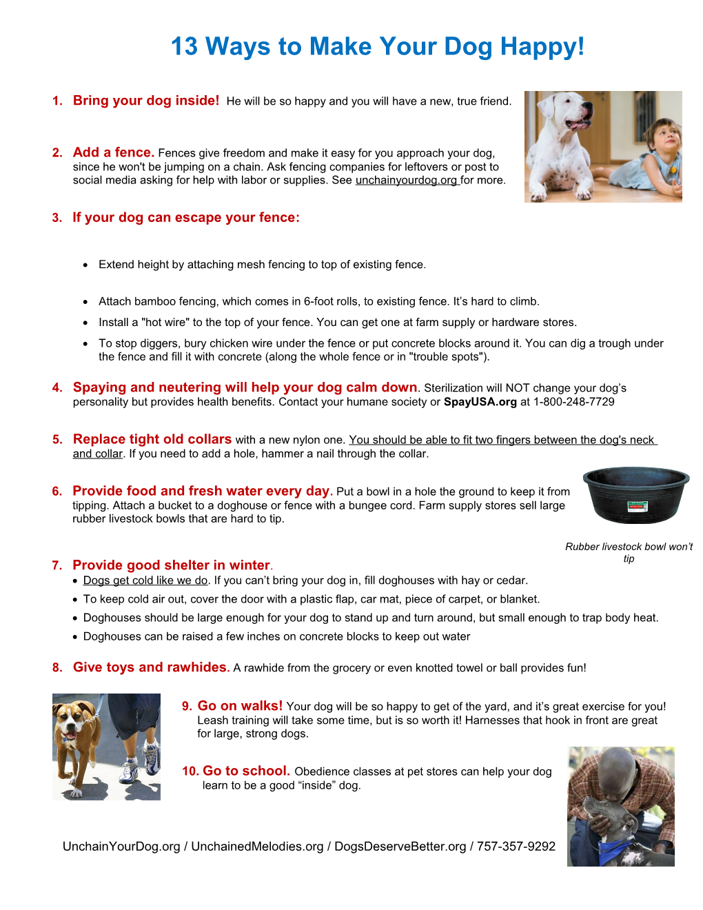 Ways to Improve Your Dog S Life