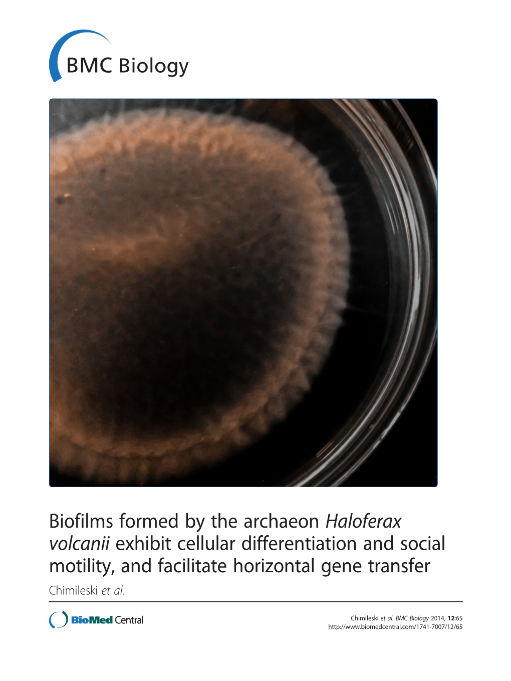 Biofilms Formed by the Archaeon Haloferax Volcanii Exhibit Cellular Differentiation and Social Motility, and Facilitate Horizontal Gene Transfer Chimileski Et Al