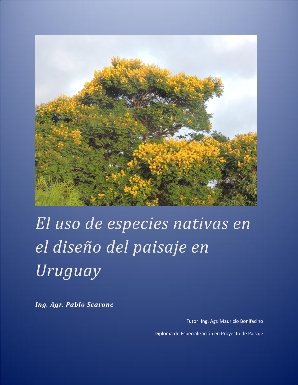 El Uso De Especies Nativas En El Diseño Del Paisaje En Uruguay