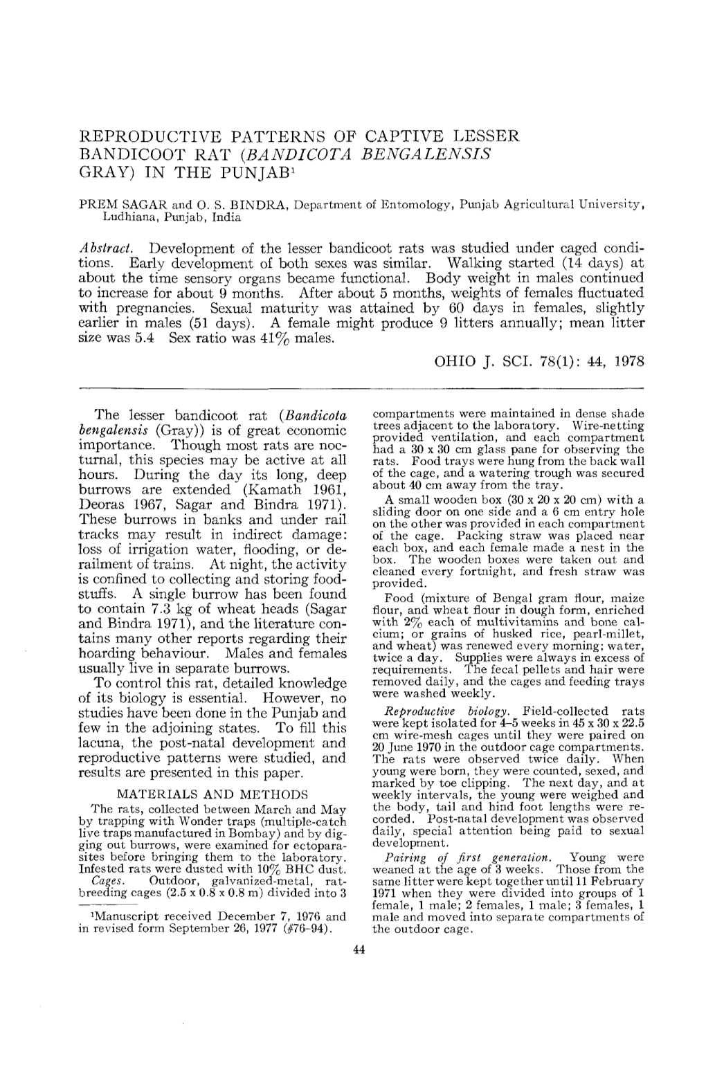 Reproductive Patterns of Captive Lesser Bandicoot Rat (Bandicota