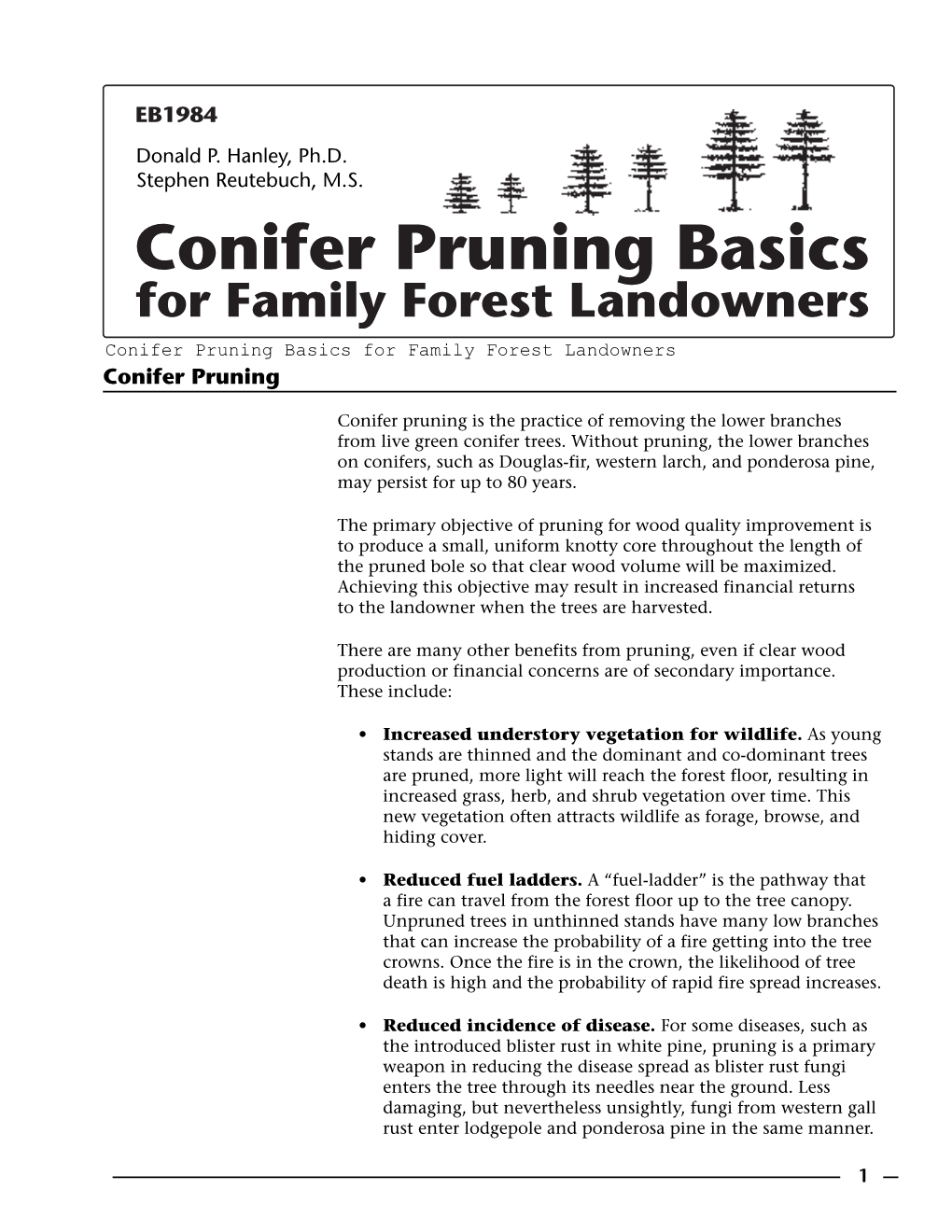 Conifer Pruning Basics for Family Forest Landowners