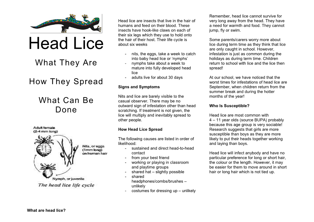 What Are Head Lice?