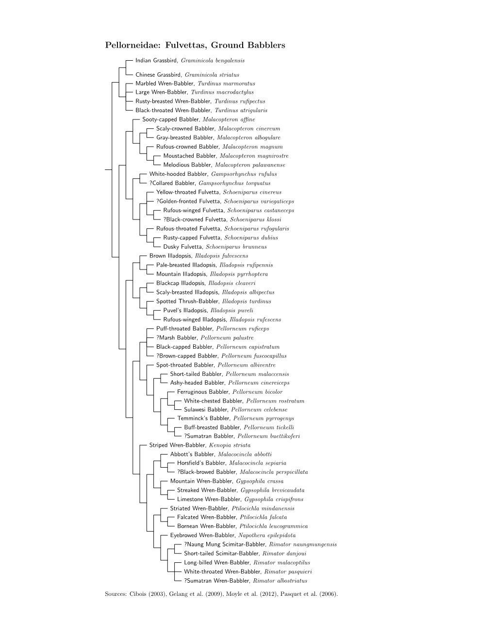 Pellorneidae.Pdf