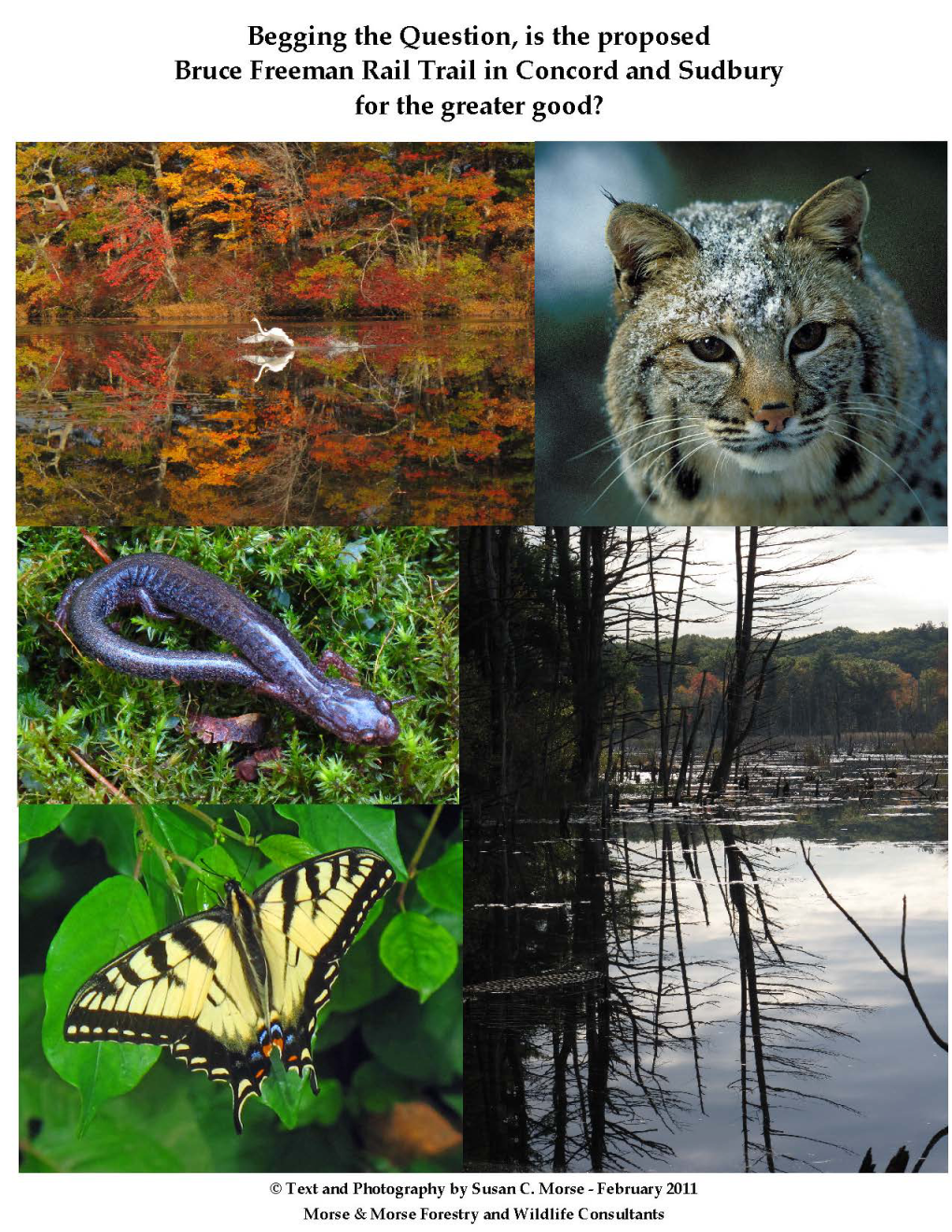 Wildlifestudy-2 BFRT.Pdf