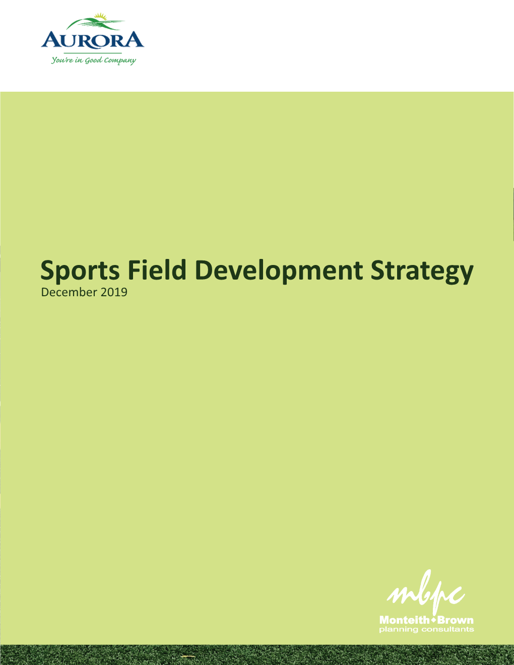 Sports Field Development Strategy December 2019