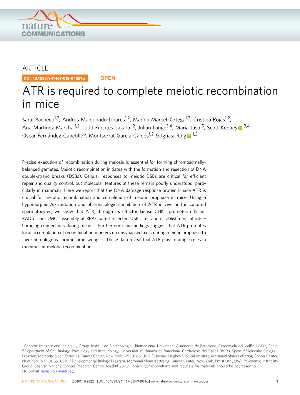 ATR Is Required to Complete Meiotic Recombination in Mice