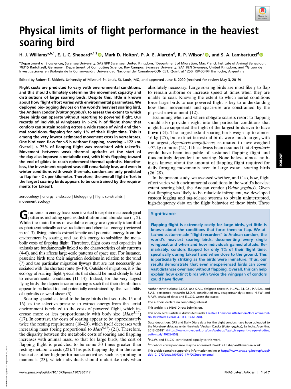 Physical Limits of Flight Performance in the Heaviest Soaring Bird