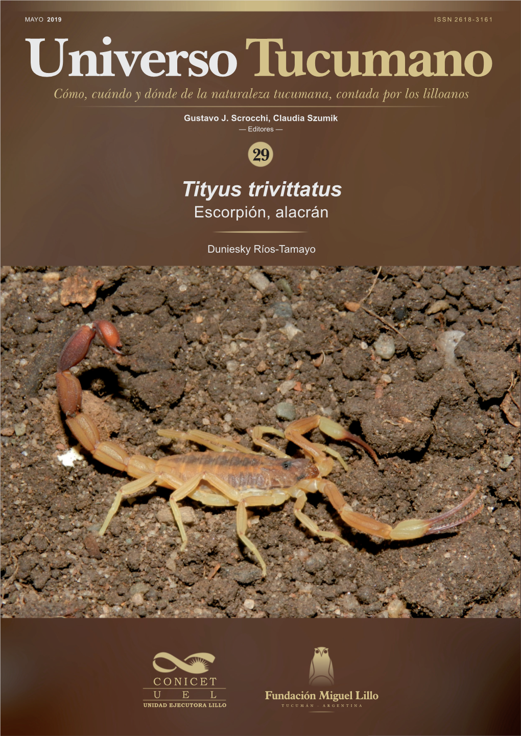 Tityus Trivittatus