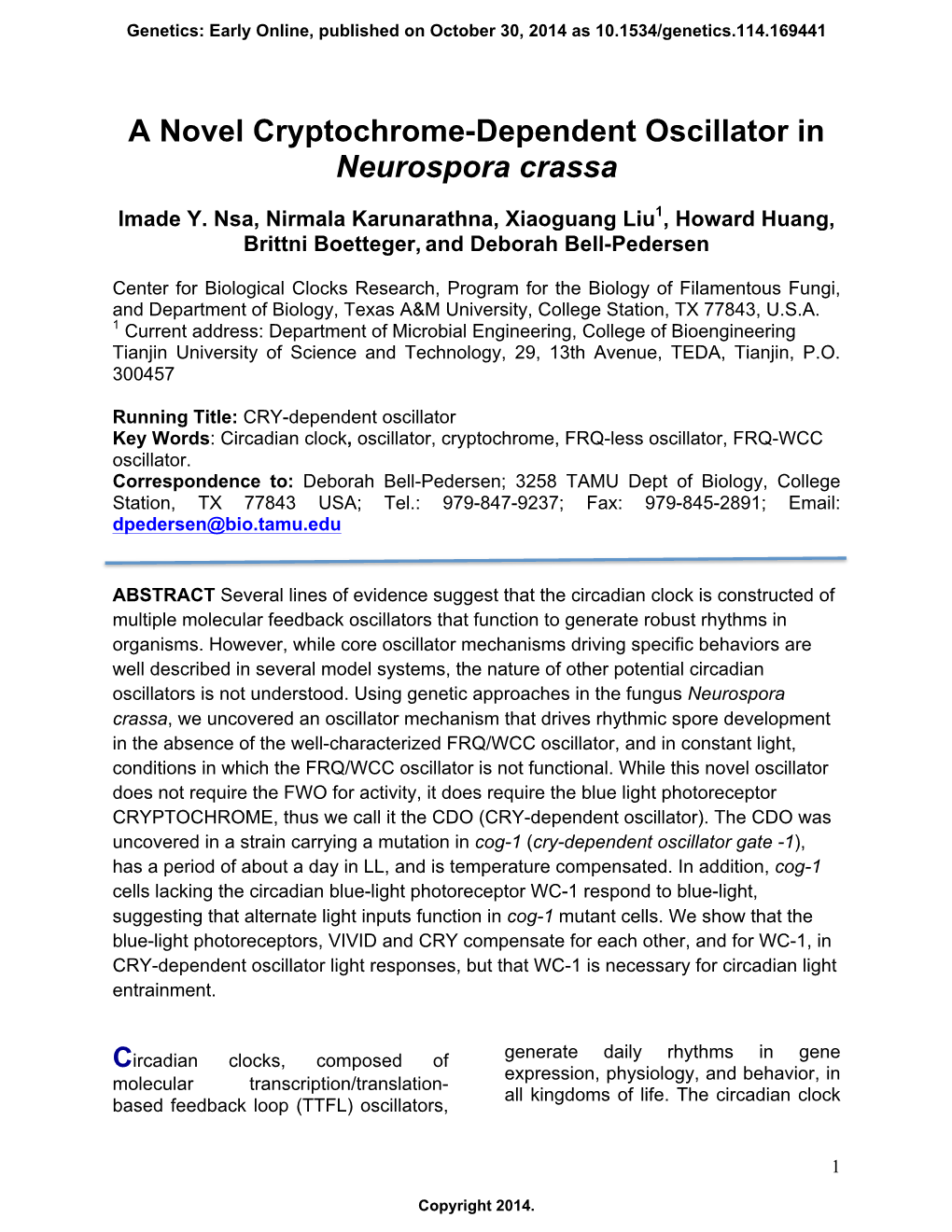 A Novel Cryptochrome-Dependent Oscillator in Neurospora Crassa