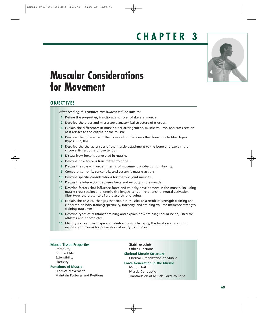 Muscular Considerations for Movement