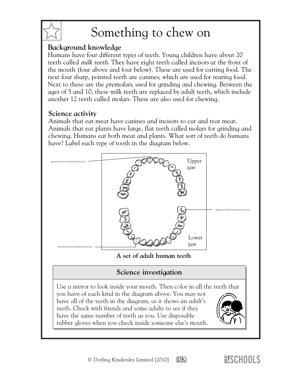 Something to Chew on Background Knowledge Humans Have Four Different Types of Teeth