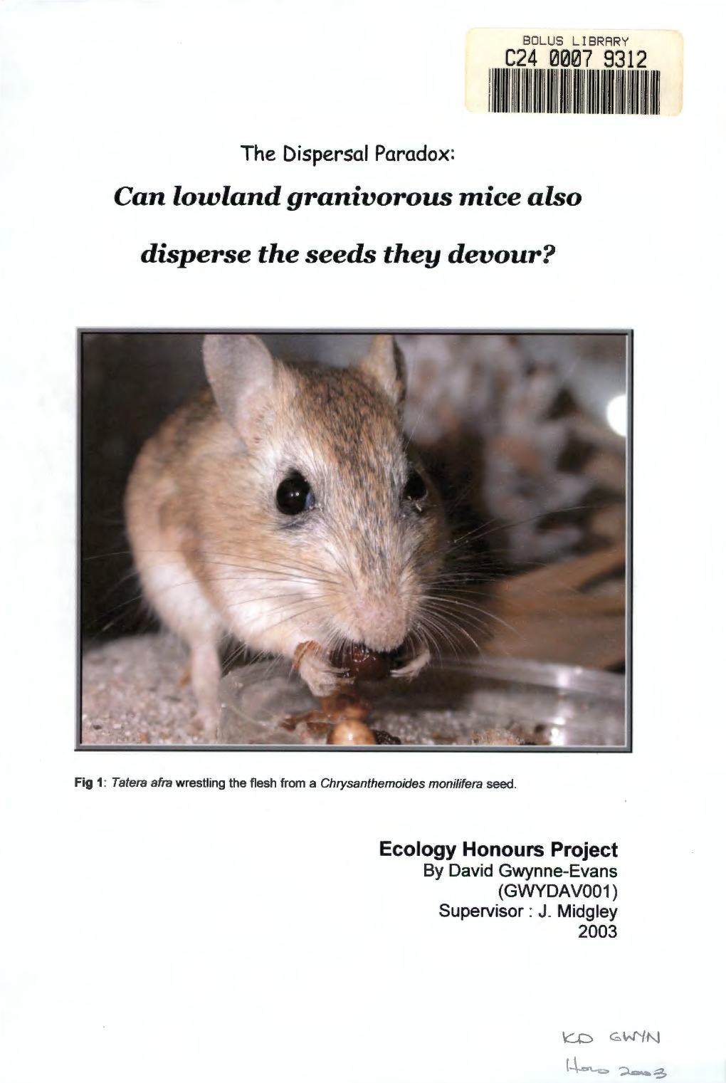 The Dispersal Paradox: Can Lowland Granivorous Mice Also