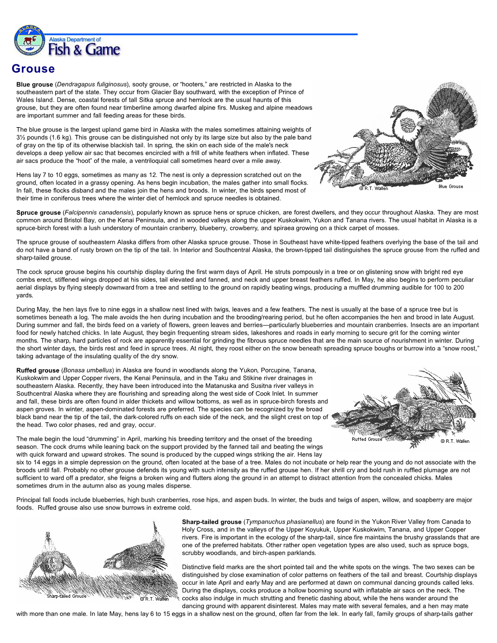 View PDF of Spruce Grouse