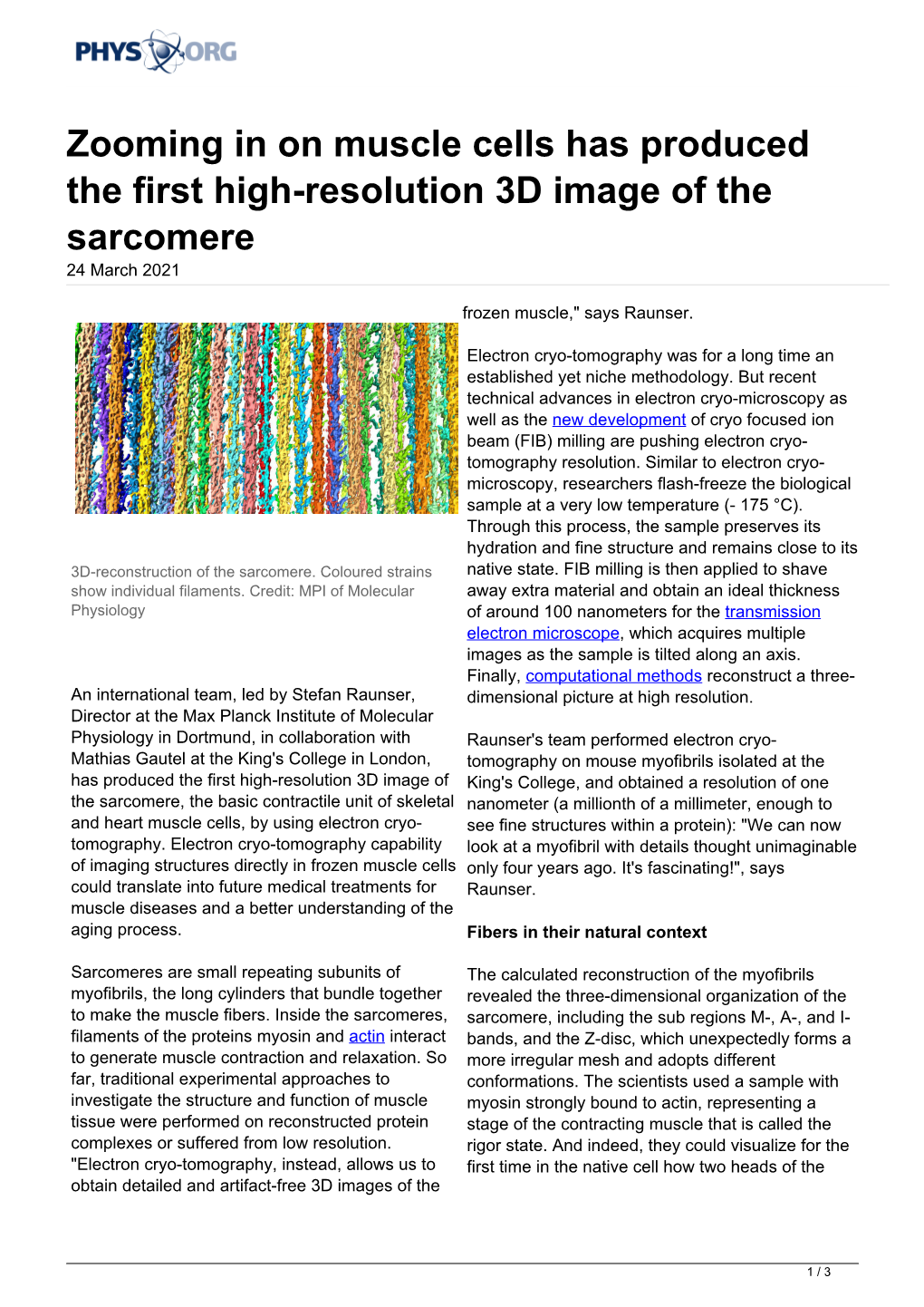 Zooming in on Muscle Cells Has Produced the First High-Resolution 3D Image of the Sarcomere 24 March 2021